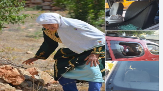 مستوطنون يهاجمون قاطفي الزيتون في قرى عدة جنوبي نابلس مستوطنون يهاجمون قاطفي الزيتون في قرى عدة جنوبي نابلس