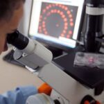 ابتكار طابعة حيوية دقيقة تمهّد لعلاج قرحة المعدة