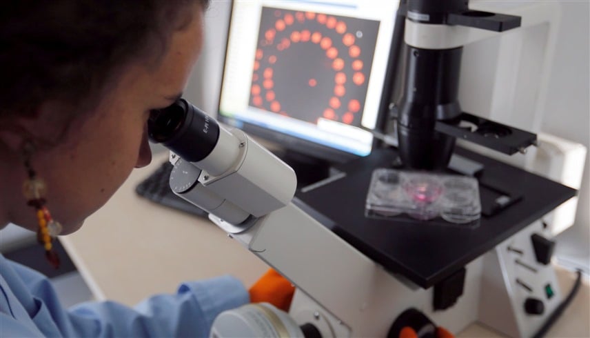 ابتكار طابعة حيوية دقيقة تمهّد لعلاج قرحة المعدة ابتكار طابعة حيوية دقيقة تمهّد لعلاج قرحة المعدة