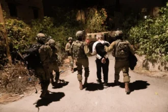 الاحتلال يعتقل 14 فلسطينيا ويستولي على 70 ألف دونم جنوب نابلس  الاحتلال يعتقل 14 فلسطينيا ويستولي على 70 ألف دونم جنوب نابلس