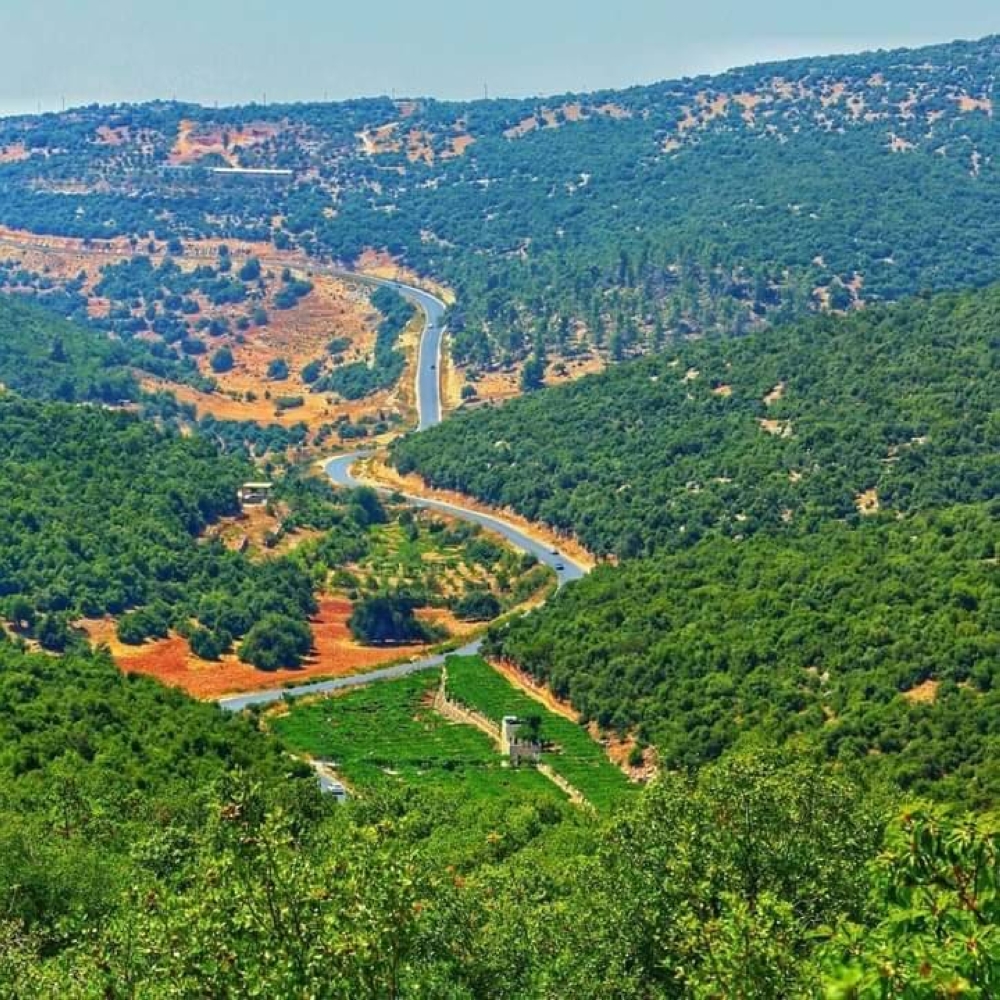 مطالب في عجلون بإطلاق حملات توعوية للحد من فاقد المياه مطالب في عجلون بإطلاق حملات توعوية للحد من فاقد المياه