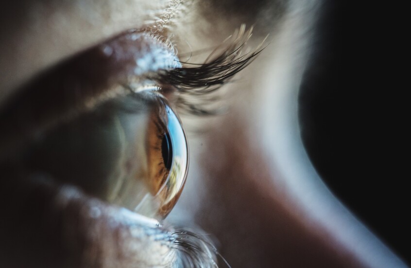 بخلاف الجزر.. أطعمة تحمي عينيك من الشاشات بخلاف الجزر.. أطعمة تحمي عينيك من الشاشات