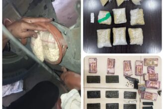 القبض على 13 متورطاً بترويج المخدرات وتضبط بحوزتهم كميات كبيرة من المواد المخدرة