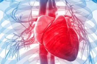اكتشاف جزيء يعيد تنشيط القلب بعد النوبات القلبية