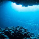 الصين تغوص في أعماق المجهول.. رحلة عالمية لاستكشاف أسرار المحيطات!