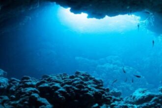 الصين تغوص في أعماق المجهول.. رحلة عالمية لاستكشاف أسرار المحيطات!