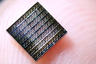 فريق بحثي يبتكر خلايا عصبية تحاكي ذكاء الدماغ