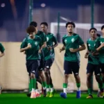 ناشئو الأخضر أمام عقبة النمسا