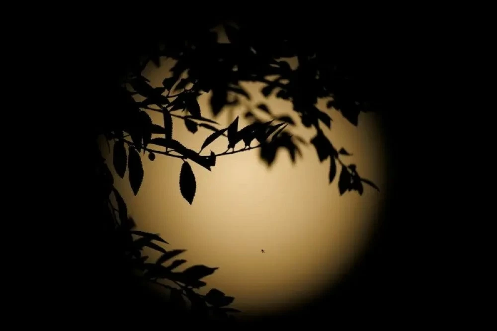 «القمر العملاق» يخطف أنظار عشاق السماء «القمر العملاق» يخطف أنظار عشاق السماء