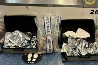 بسبب 23 مليون دولار.. «الفلفل الحار» يخون صاحبته