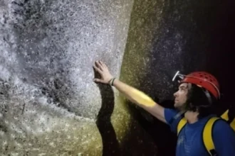 شبكة عنكبوت عملاقة تربك العلماء في «كهف الكبريت»