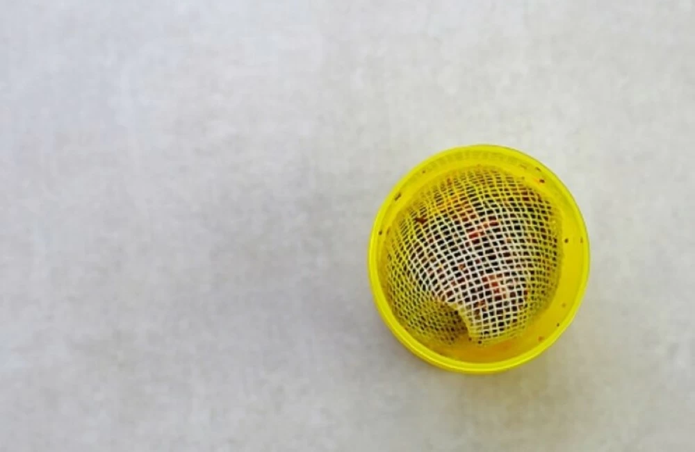 الإمارات: سحب منتج تايلندي من الأسواق بسبب «تلوث ميكروبي» الإمارات: سحب منتج تايلندي من الأسواق بسبب «تلوث ميكروبي»