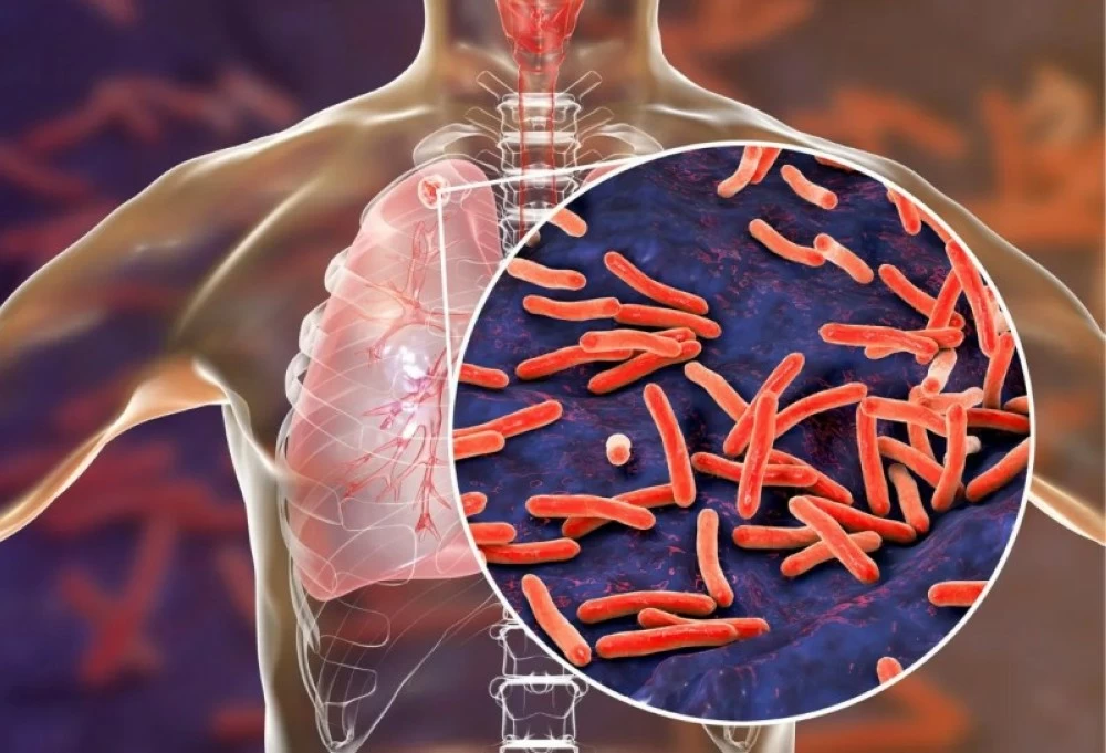 مشروع الحياة.. العلماء يطاردون «القاتل الصامت» في معركةٍ لإنقاذ البشرية مشروع الحياة.. العلماء يطاردون «القاتل الصامت» في معركةٍ لإنقاذ البشرية