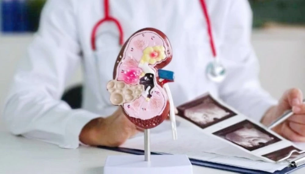 أقسى خيانة زوجية.. محاولة بيع كلية الزوجة! أقسى خيانة زوجية.. محاولة بيع كلية الزوجة!