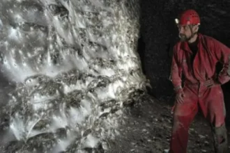 مدينة تحت الأرض.. اكتشاف عالم خفي يضم عشرات الآلاف من العناكب!