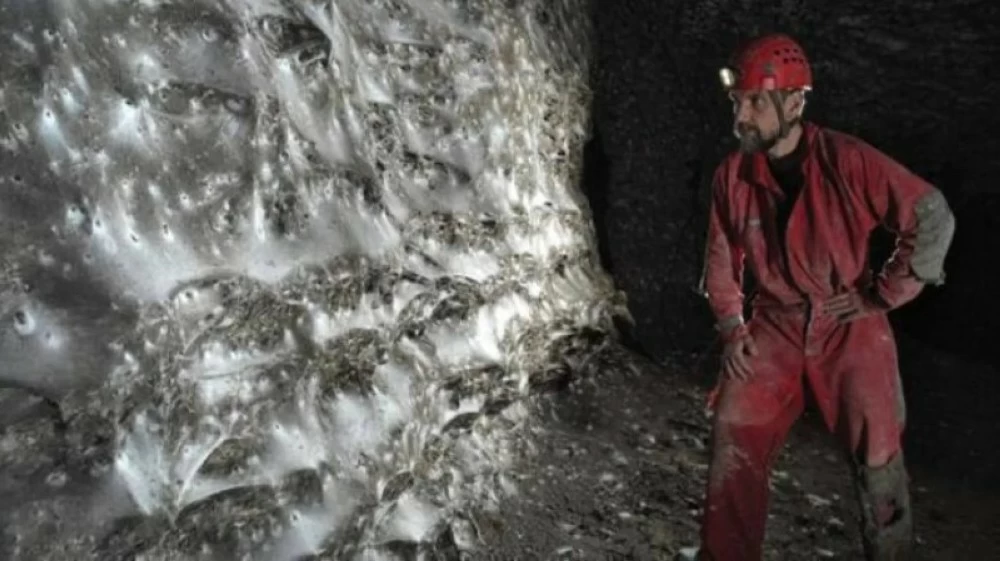 مدينة تحت الأرض.. اكتشاف عالم خفي يضم عشرات الآلاف من العناكب!