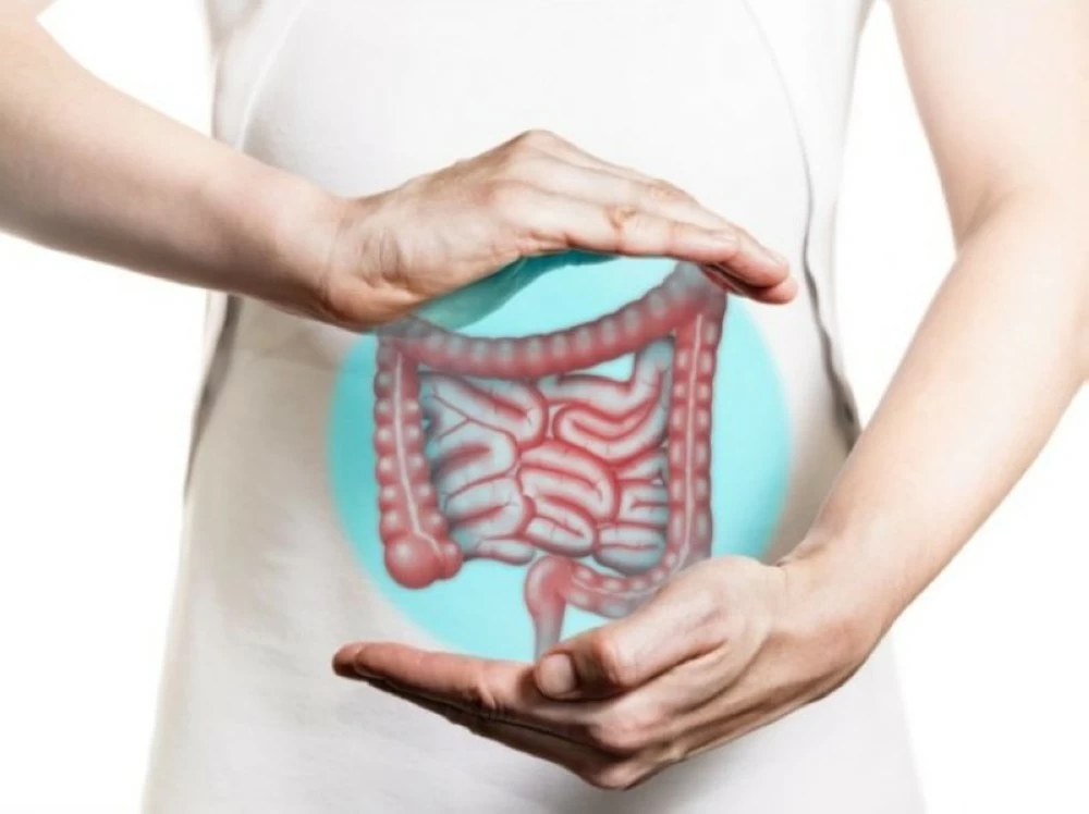 كيف تهدد الأطعمة المعَالجة صحة الأمعاء وتُسرّع سرطان القولون؟