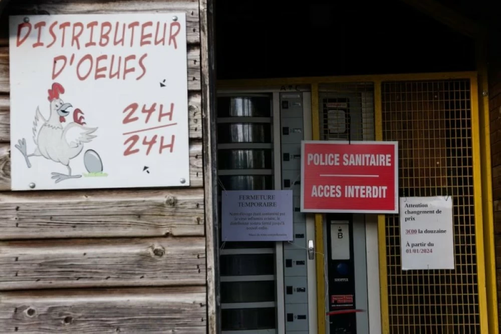 أخطر موسم إنفلونزا طيور منذ 8 سنوات يجتاح نصف الكرة الشمالي! أخطر موسم إنفلونزا طيور منذ 8 سنوات يجتاح نصف الكرة الشمالي!