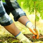 وزير الزراعة المصري: الأردن أحدث طفرة زراعية في ظل ندرة المياه