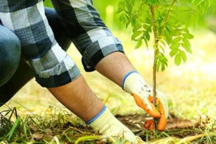 وزير الزراعة المصري: الأردن أحدث طفرة زراعية في ظل ندرة المياه