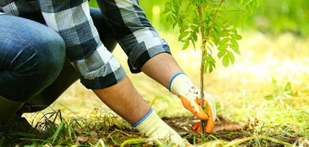 وزير الزراعة المصري: الأردن أحدث طفرة زراعية في ظل ندرة المياه وزير الزراعة المصري: الأردن أحدث طفرة زراعية في ظل ندرة المياه