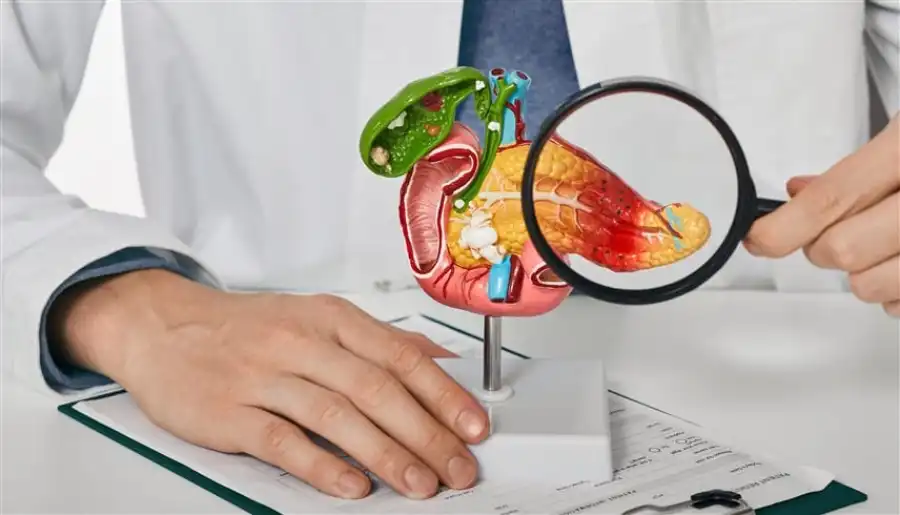 عادات يومية تؤدي إلى التهاب البنكرياس وضعف وظائفه عادات يومية تؤدي إلى التهاب البنكرياس وضعف وظائفه