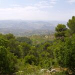 دبين وجهة سياحية طبيعية تجمع بين الجمال والثراء البيئي