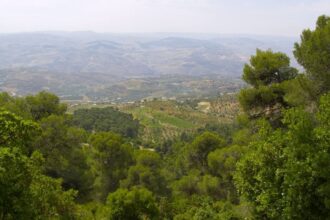 دبين وجهة سياحية طبيعية تجمع بين الجمال والثراء البيئي