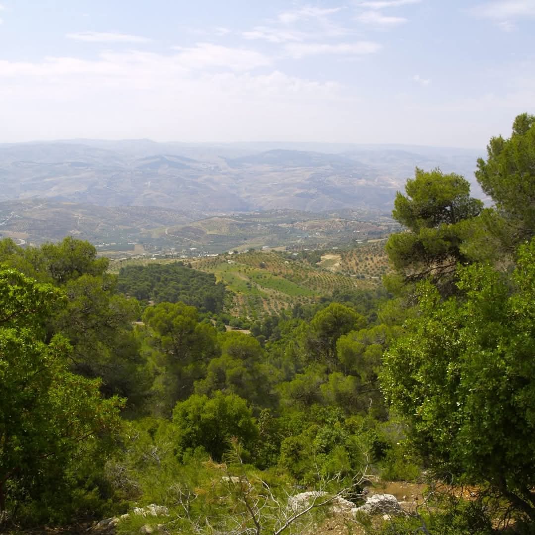 دبين وجهة سياحية طبيعية تجمع بين الجمال والثراء البيئي
