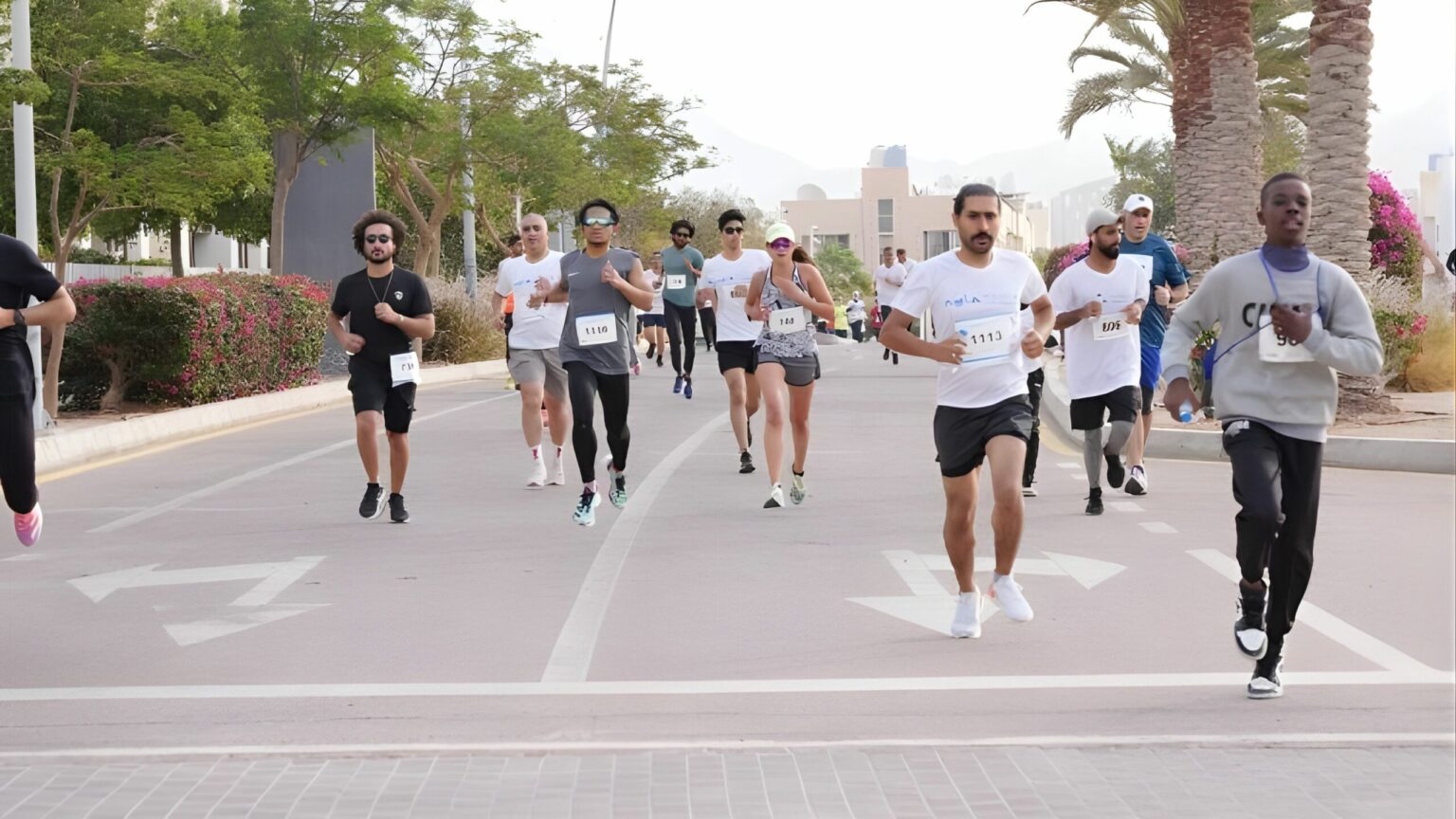 العقبة تستعد لاستضافة نصف ماراثون البحر الأحمر العقبة تستعد لاستضافة نصف ماراثون البحر الأحمر