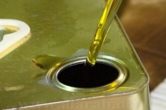 وزارة الزراعة: استيراد 4 آلاف طن من زيت الزيتون الأسبوع المقبل