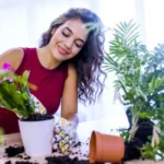 فوائد تربية النباتات في المنزل: