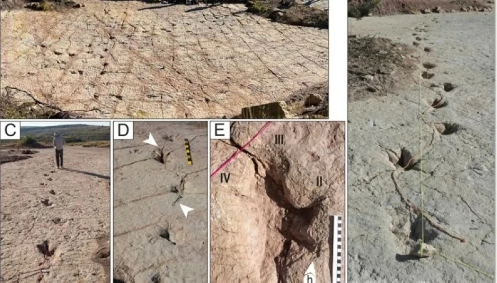 اكتشاف 16000 أثر لديناصورات بوليفيا اكتشاف 16000 أثر لديناصورات بوليفيا