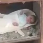 رضيعة بين حطام شاحنة محترقة في صحراء العراق