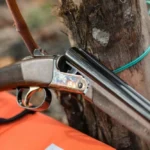 بندقية هوائية تُطيح بأستاذ هارفارد