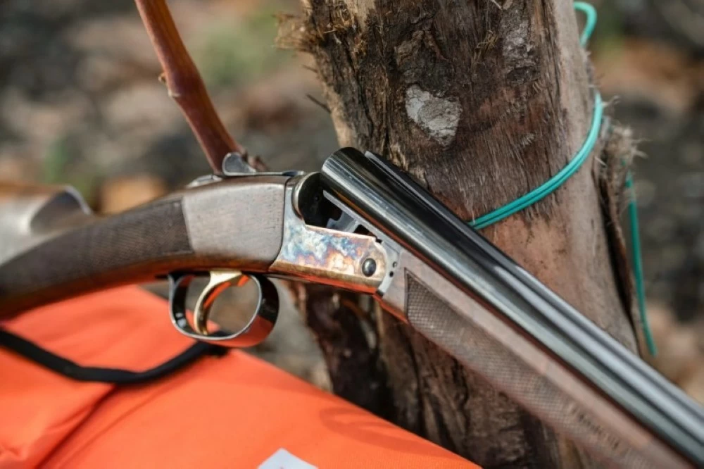 بندقية هوائية تُطيح بأستاذ هارفارد بندقية هوائية تُطيح بأستاذ هارفارد