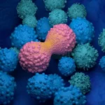 من أعماق سيبيريا.. «دواء نحاسي» يدمّر الحمض النووي للخلايا السرطانية