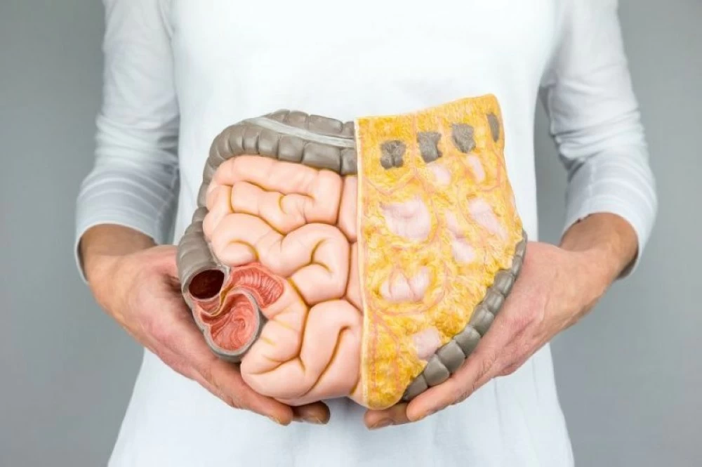 الدهون الحشوية للمرأة المخاطر والوقاية الدهون الحشوية للمرأة المخاطر والوقاية