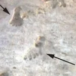 آثار أقدام بشرية في «النفود».. عمرها 11.5 ألف سنة !