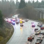 مطاردة جنونية لـ«مدمن» سرق سيارة شرطة