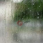 وزير الزراعة: الموسم المطري الحالي يرفع جاهزية المحاصيل