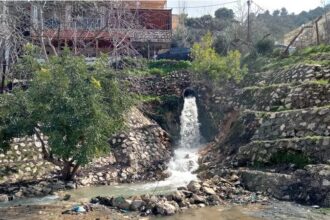 أمطار الخير في عجلون تعزز المزروعات الحقلية والموسمية