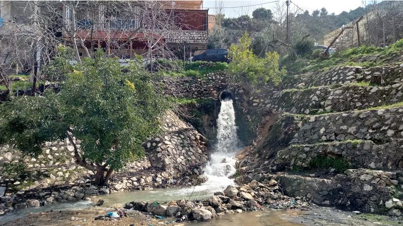 أمطار الخير في عجلون تعزز المزروعات الحقلية والموسمية أمطار الخير في عجلون تعزز المزروعات الحقلية والموسمية
