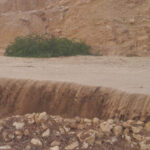 المياه: 3.6 مليون متر مكعب دخلت السدود وارتفاع الموسم المطري إلى 12.5 %