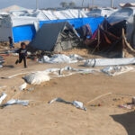 10 دول تحذر من استمرار الوضع الإنساني “الكارثي” في غزة​ 