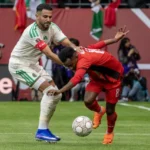 5 عرب في تشكيلة أفريقيا المثالية