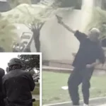 مسلّح يطلق النار على هليكوبتر شرطة في لوس أنجلوس.. وكلب يوقفه!