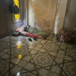 مصر: إغلاق 32 مركز إدمان غير مرخص بعد وفاة 7 في حريق مصحة بنها