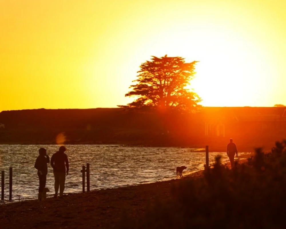 موجة حر تضرب أستراليا.. وحرائق خارج السيطرة موجة حر تضرب أستراليا.. وحرائق خارج السيطرة