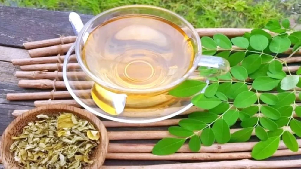 فوائد ماء المورينغا: